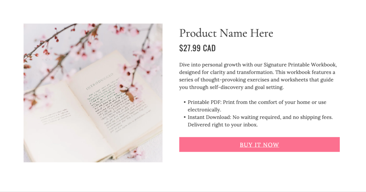 Demo Product Page Template Bizsister