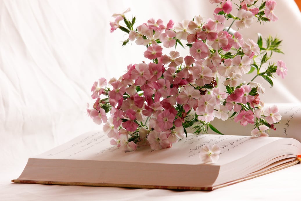  Pink Flowers on an Open Book